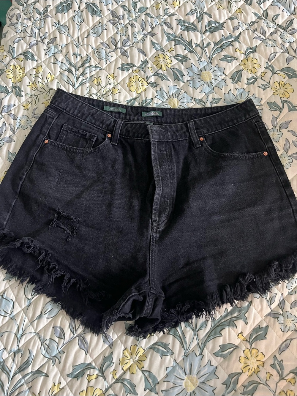 wild fable Black Frayed Hem Denim Shorts